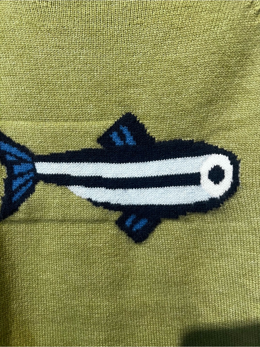 Aerie Green Fish-Graphic Sweater - Women - Picture 4 of 4